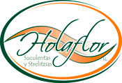 Logotipo HolaFlor